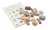 Genuine Fossil Collection Kit Pack with a mini magnifying glass and identification sheet