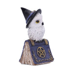 Avian Spell Owl on Blue Book with Pentacle Figurine