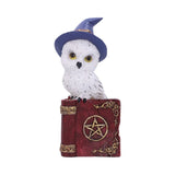 Avian Spell Owl on Red Book with Pentacle Figurine at Mystical and Magical Halifax UK
