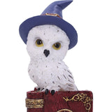 Avian Spell Owl on Red Book with Pentacle Figurine at Mystical and Magical Halifax UK