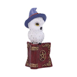 Avian Spell Owl on Red Book with Pentacle Figurine at Mystical and Magical Halifax UK