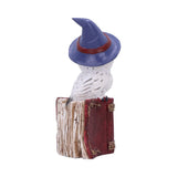Avian Spell Owl on Red Book with Pentacle Figurine at Mystical and Magical Halifax UK