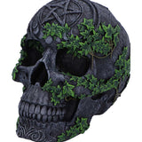 Aged Pentagram Skull Figurine Ornament Nemesis Now B7366A26 