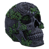 Aged Pentagram Skull Figurine Ornament Nemesis Now B7366A26 front side
