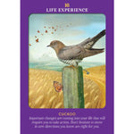 Animal Guides Tarot Cards 78 Tarot Card Deck Cuckoo Cards