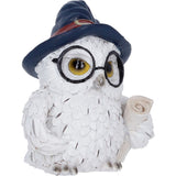 Archimedes Owl Figurine with Scroll Nemesis Now U7416A26