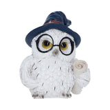 Archimedes Owl Figurine with Scroll Nemesis Now U7416A26