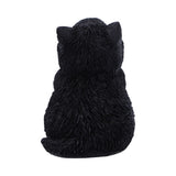 Back Whisker Wish Black Cat Figurine Nemesis Now