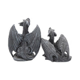 Back Dark Fury Pair of Black Obsidian Dragon Figurines Nemesis Now C0797C4