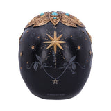 Destiny Palmistry Tarot Cards Skull Ornament Nemesis Now B6095W2 Star