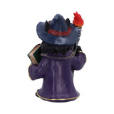 Bac of Magnus Wizard Cat Fantasy Figurine Nemesis Now U7006A25