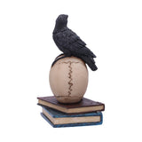 Back Front Raven's Spell Raven Perches on Human Cranium Figurine Nemesis Now