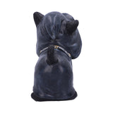 Reapers Kitty Kitten Black Cat Figurine Nemesis Now U5841U1 Back