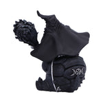 Back Shellial Tortoise Bewitching Cult Cuties Collectible Figurine Nemesis Now B6912C24