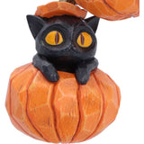 Cat inside Carved Whisper Wood Set of 2 Pumpkin and Patch Halloween Hanging Ornament