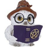Close Up Cornelius Owl Figurine with Hat and Book Nemesis Now U7417A26