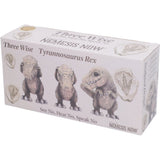 Box Boxed Set of Three Wise Tyrannosaurus Rex Dinosaur Figurines Nemesis Now B6973A25