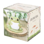 Boxed Frog Shaped Oil Burner on Lily Pad Box