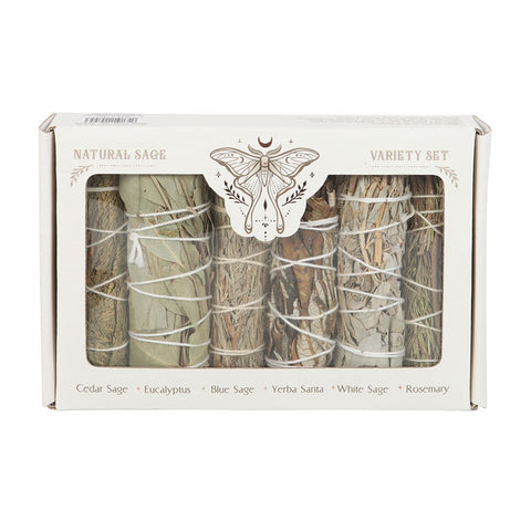 Sage Smudge Stick Variety Set of 6 Bundles. Cedar Sage, Eucalyptus Blue, Sage Yerba, Santa, White Sage and Rosemary Boxed
