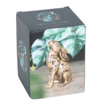 Boxed Mystical Moon Gazing Midnight Hare Resin Ornament