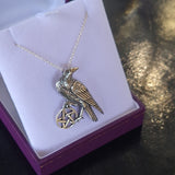 Boxed Raven Pentagram Pendant on Silver Chain Necklace