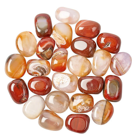 Carnelian Polished Tumblestone Tumble Stone Selection