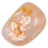 Carnelian Polished Tumblestone Tumble Stone Selection
