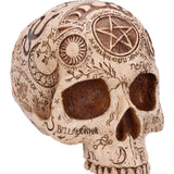 Close up of Apothecary Gothic Skull Figurine Nemesis Now B7537B26