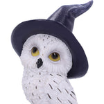 Front Close Up Owl's Charm Gothic Figurine Nemesis Now u5719u1