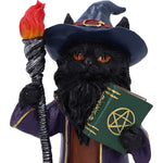 Top of Magnus Wizard Cat Fantasy Figurine Nemesis Now U7006A25