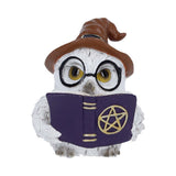 Front Cornelius Owl Figurine with Hat and Book Nemesis Now U7417A26