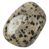 Dalmatian Jasper Polished Tumblestone Medium Tumble Stone