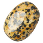 A Dalmatian Jasper Polished Tumblestone Medium Tumble  Stone