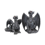 Dark Fury Pair of Black Obsidian Dragon Figurines Nemesis Now C0797C4 Set of 2