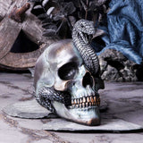 Serpentine Fate Gothic Snake Skull Ornament Nemesis Now Display
