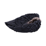 Edgar Allen Poe's Nevermore Black Raven Skull Trinket Dish Nemesis Now D4917R0 Side