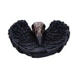 Edgar Allen Poe's Nevermore Black Raven Skull Trinket Dish Nemesis Now D4917R0 front