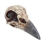 Edgar's Raven Skull Figurine Edgar Allen Poe Ornament Nemesis Now B1986F6 front