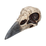 Front Side of Edgar's Raven Skull Figurine Edgar Allen Poe Ornament Nemesis Now B1986F6