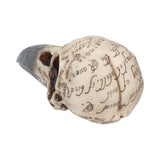 Side Edgar's Raven Skull Figurine Edgar Allen Poe Ornament Nemesis Now B1986F6 Back