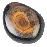 Tumble Stone Blue Tiger Eye (Falcon) Polished Tumblestone