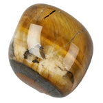 Gold Tiger's Eye Polished Tumblestone Tiger Tumble Stone Example