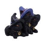 Familiar Felines Black Cats in Witches Hats Figurine Nemesis Now