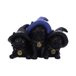 Familiar Felines Black Cats in Witches Hats Figurine Nemesis Now
