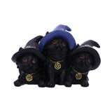 Familiar Felines Black Cats in Witches Hats Figurine Nemesis Now