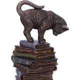 Feline Scholars Bronzed Cat Ornament Nemesis Now Top