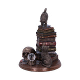Feline Scholars Bronzed Cat Ornament Nemesis Now