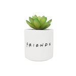 Friends Central Perk Plant Pot Faux Boxed