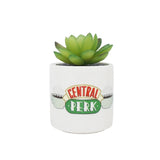 Friends Central Perk Plant Pot Faux Boxed