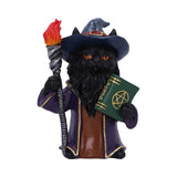 Magnus Wizard Cat Fantasy Figurine Nemesis Now U7006A25 Front